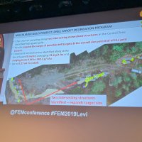 FEM 2019 Petri P. Presentation