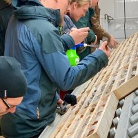 Field Visit 2019 - Examining Drill Core